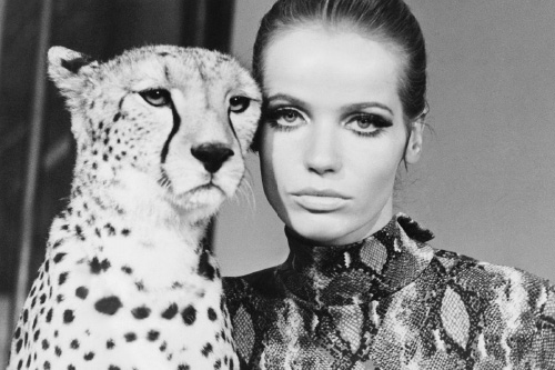 Veruschka